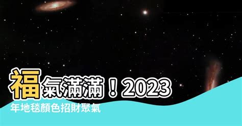 2023地毯顏色